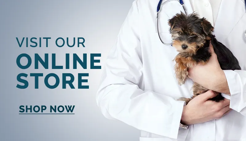 Visit our online store. Click here to shop now!